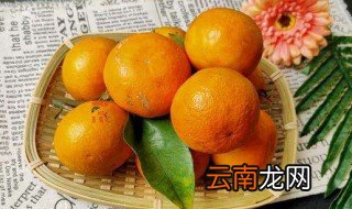 沃柑好吃吗 沃柑是橘子吗
