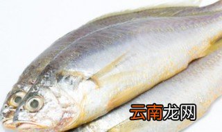江团鱼可以放冰箱保鲜吗 江团鱼放冰箱冷藏可以放多久
