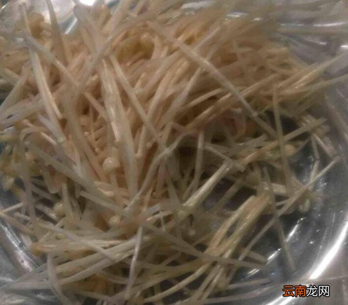 韭菜金针菇怎么炒