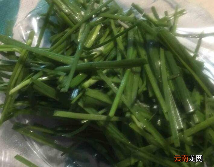 韭菜金针菇怎么炒
