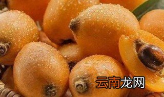 枇杷皮和核能煮水喝吗 枇杷皮和核能不能煮水喝