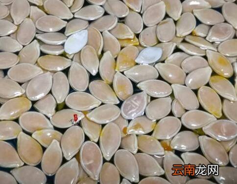南瓜子怎么炒好吃