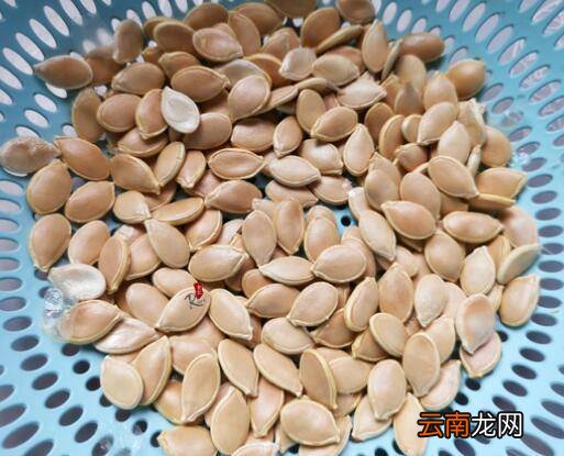 南瓜子怎么炒好吃