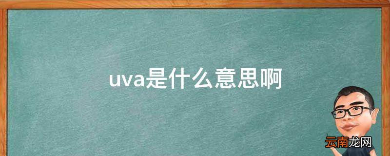 uva是什么意思啊