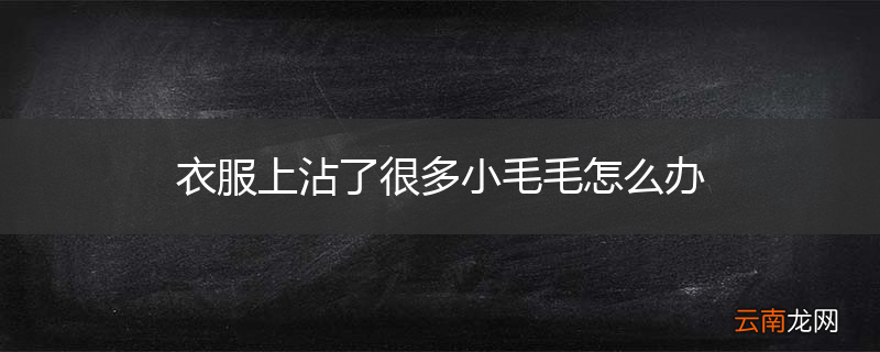 衣服上沾了很多小毛毛怎么办