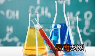 什么生物既不是植物又不是动物
