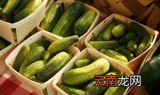 买来的黄瓜有苦味可不可以吃 买来的黄瓜有苦味可以吃吗