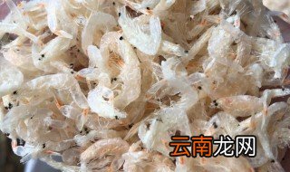 虾皮粉可以保存多久 虾皮粉可以保存多久时间