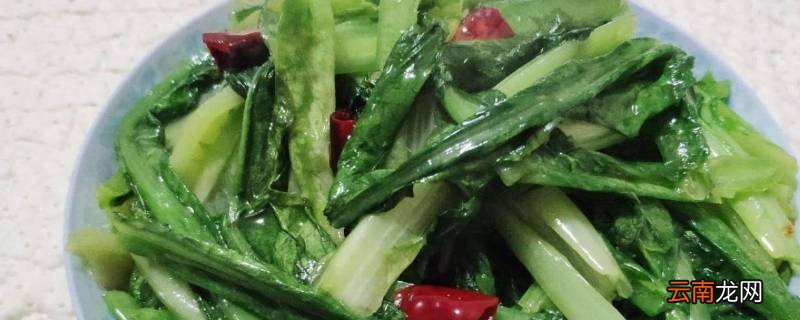 清炒油麦菜怎么做