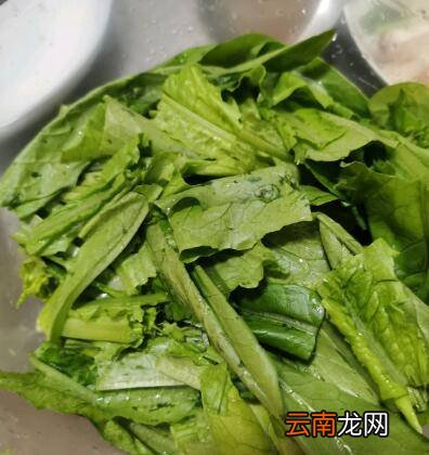 清炒油麦菜怎么做