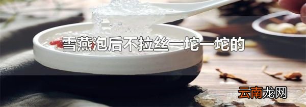 雪燕泡后不拉丝一坨一坨的