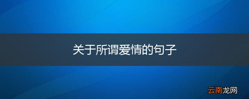 关于所谓爱情的句子