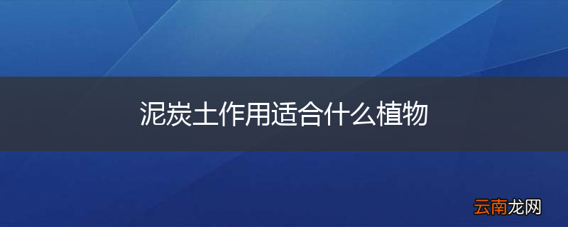 泥炭土作用适合什么植物