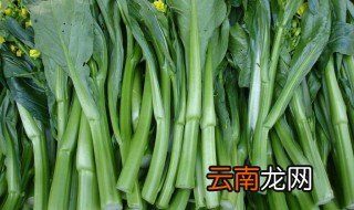 白菜苔和广心菜的区别 白菜苔相关介绍