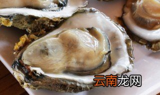 牡蛎怎么洗最干净 牡蛎的清洗方法