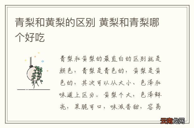 青梨和黄梨的区别 黄梨和青梨哪个好吃