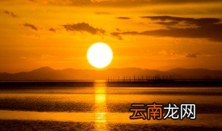 为什么有的植物喜阳有的植物喜阴