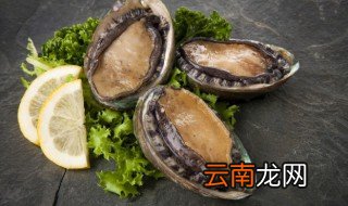 鲍鱼发绿了还能吃吗 可以吃发绿的鲍鱼吗