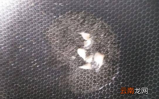 清炒小白菜怎么做好吃