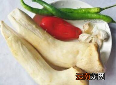 清炒杏鲍菇怎么炒好吃
