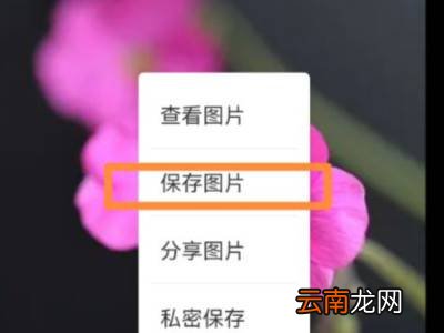 网页图片怎么保存