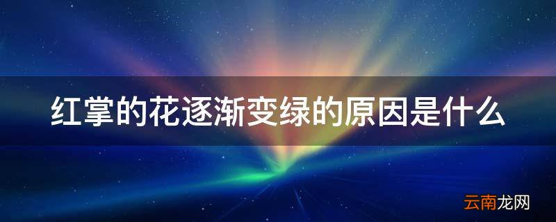 红掌的花逐渐变绿的原因是什么