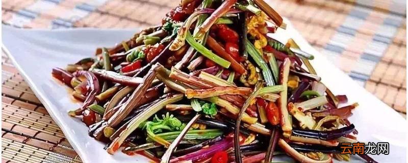 蕨菜怎么炒