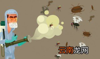 世界上最毒的蚊子是什么蚊子 世界上最毒的蚊子长什么样子