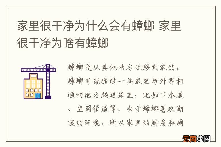 家里很干净为什么会有蟑螂 家里很干净为啥有蟑螂