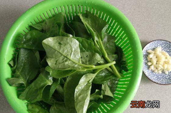 木耳菜怎么炒