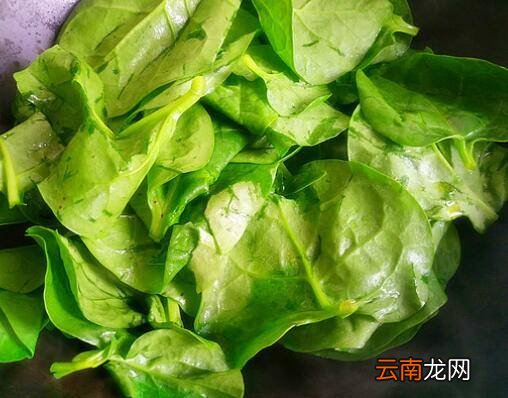 木耳菜怎么炒