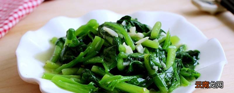 木耳菜怎么炒