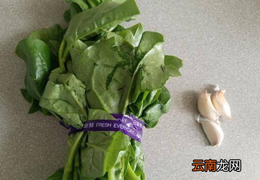 木耳菜怎么炒