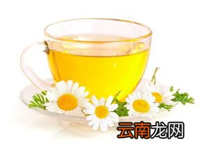 金菊花茶的功效与作用,金蓝菊叶茶的功效