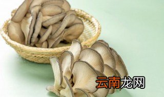 新鲜的蘑菇能放冰箱保鲜吗，鲜蘑菇可以放冰箱保存吗