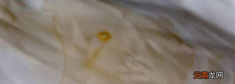 羽绒服油污用什么能洗掉，羽绒服上有油渍怎么清除