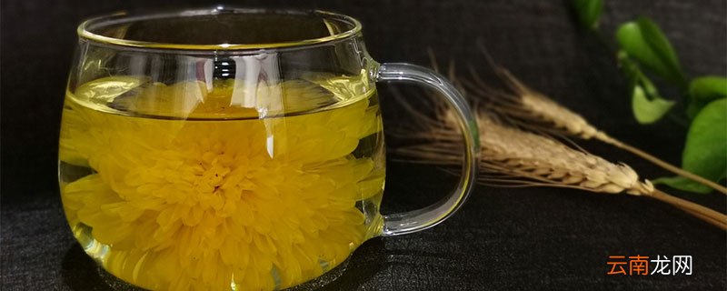 菊花茶喝了有什么好处 菊花茶的养生保健作用