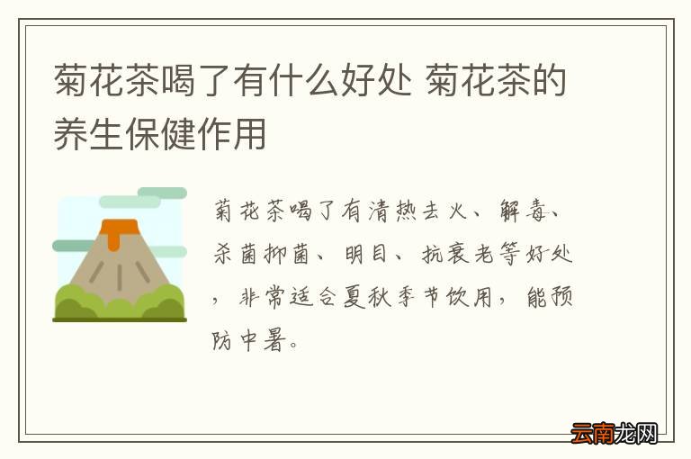 菊花茶喝了有什么好处 菊花茶的养生保健作用