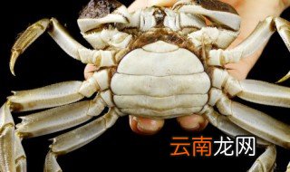 螃蟹里面黄黄的能吃吗 螃蟹里面黄黄的是否能吃
