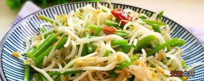 绿豆芽怎么炒才脆
