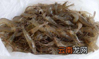 活的河虾怎么处理干净 活的河虾处理方法
