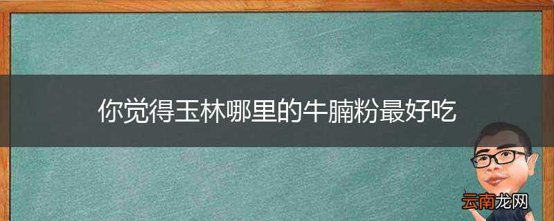 你觉得玉林哪里的牛腩粉最好吃