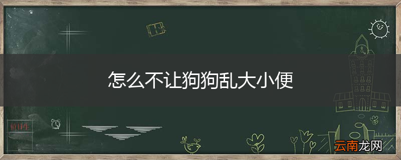 怎么不让狗狗乱大小便