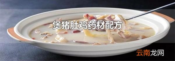 煲猪肚鸡药材配方
