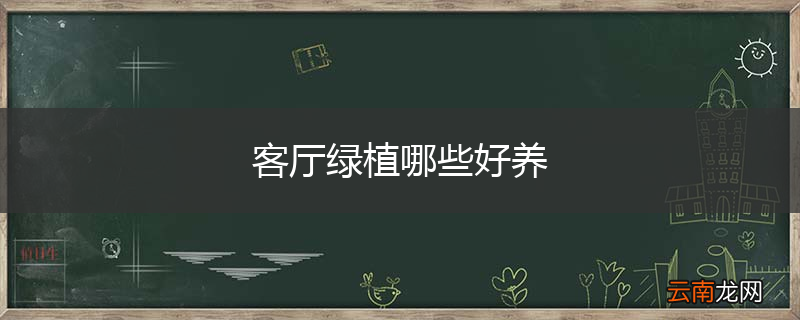 客厅绿植哪些好养