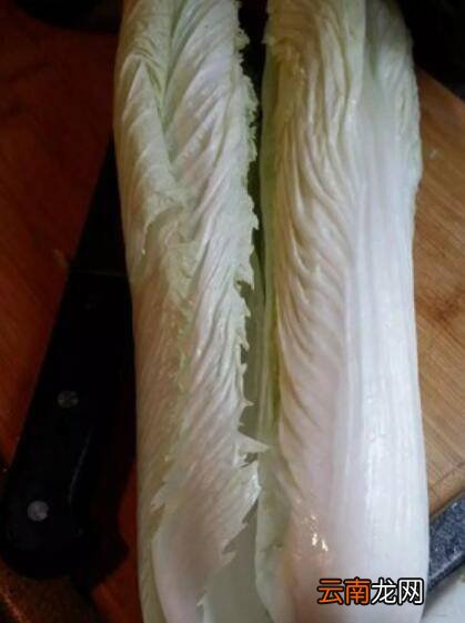 胶菜怎么炒