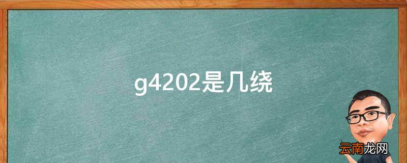 g4202是几绕