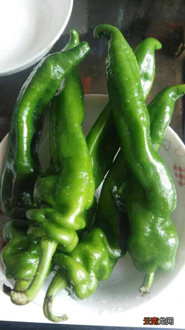 螺丝椒怎么炒的好吃