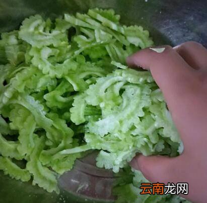 苦瓜炒肉丝怎么做