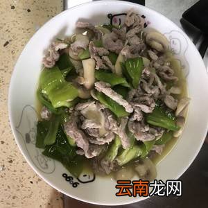 蘑菇炒肉片怎么炒好吃